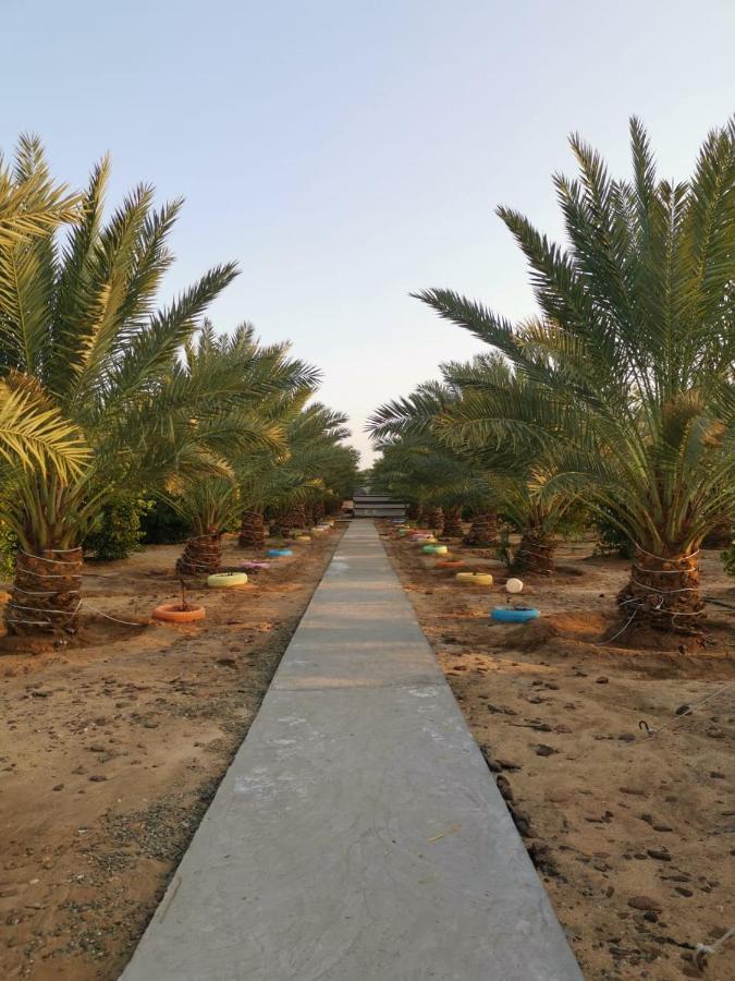 Almazham Camp Luxury tent Al Ula