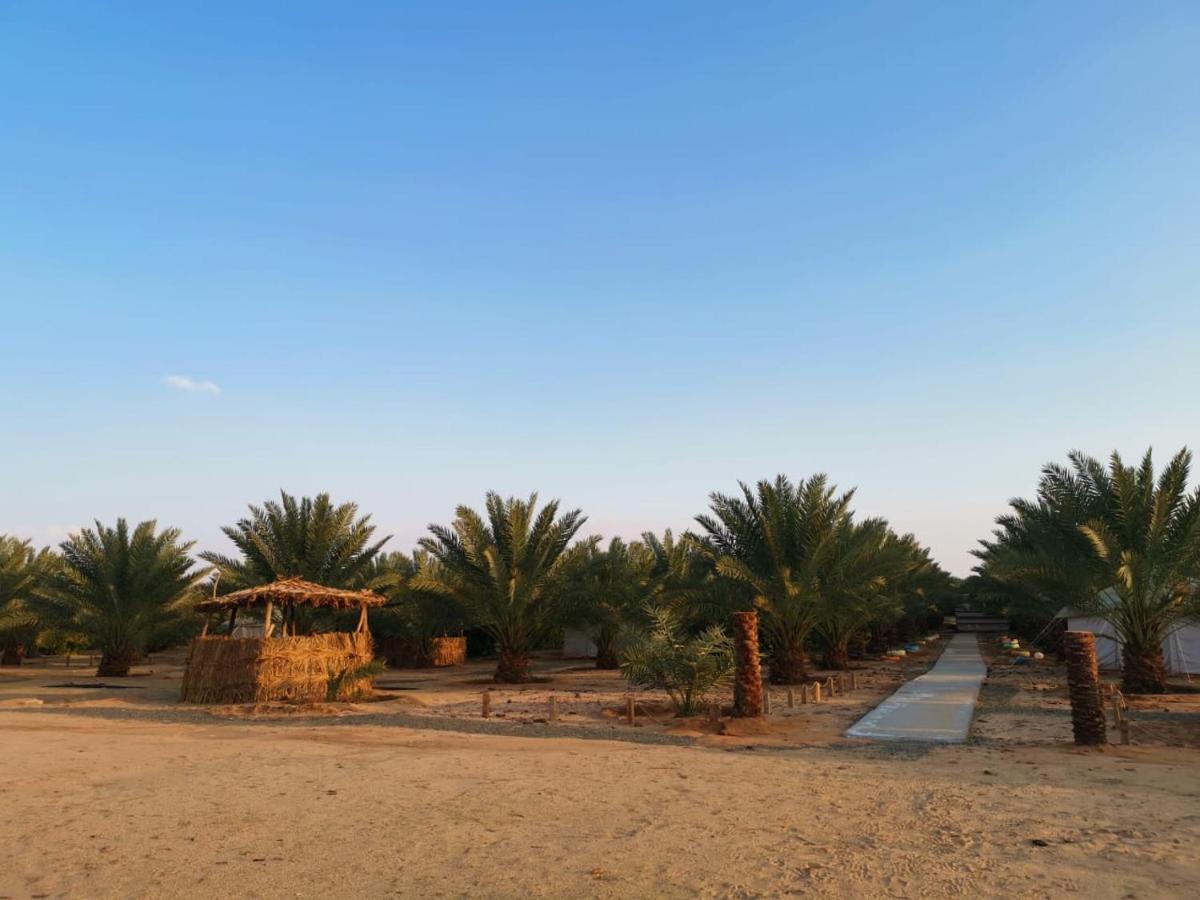 Almazham Camp Al Ula