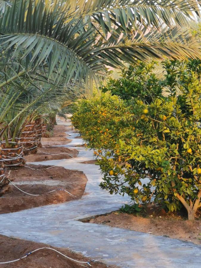 Almazham Camp Al Ula